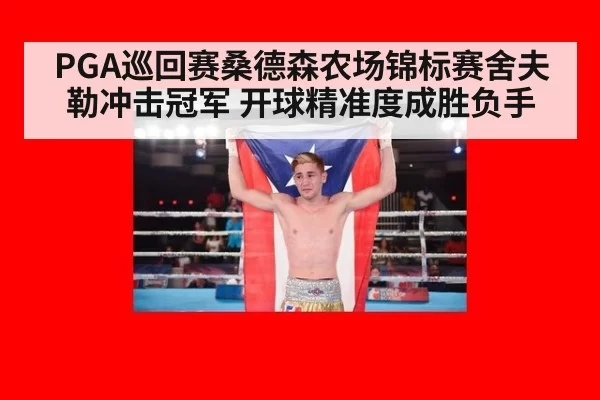 PGA巡回赛桑德森农场锦标赛舍夫勒冲击冠军 开球精准度成胜负手